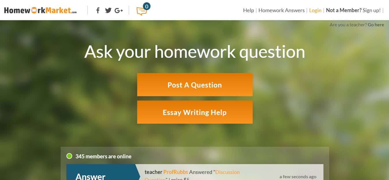 homeworkmarket review