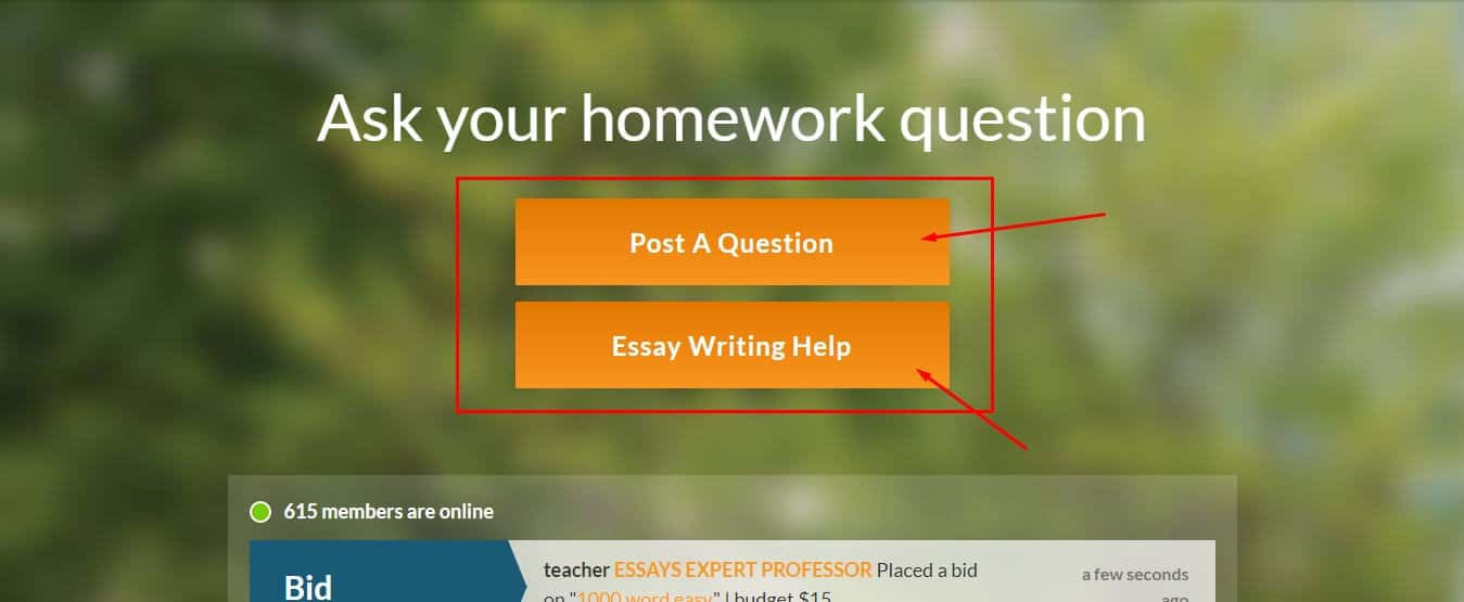 homeworkmarket reviews